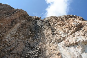 DSC_6056